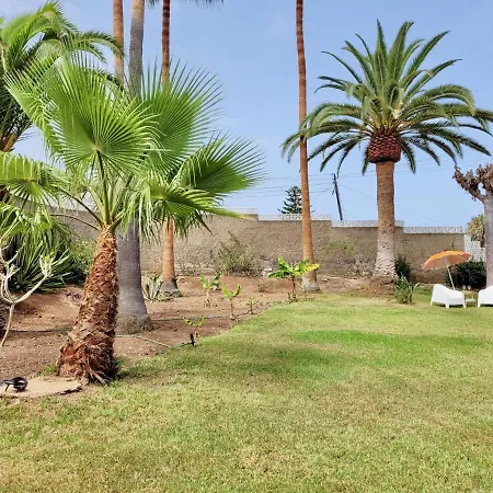 Lägenhet Don Antonio